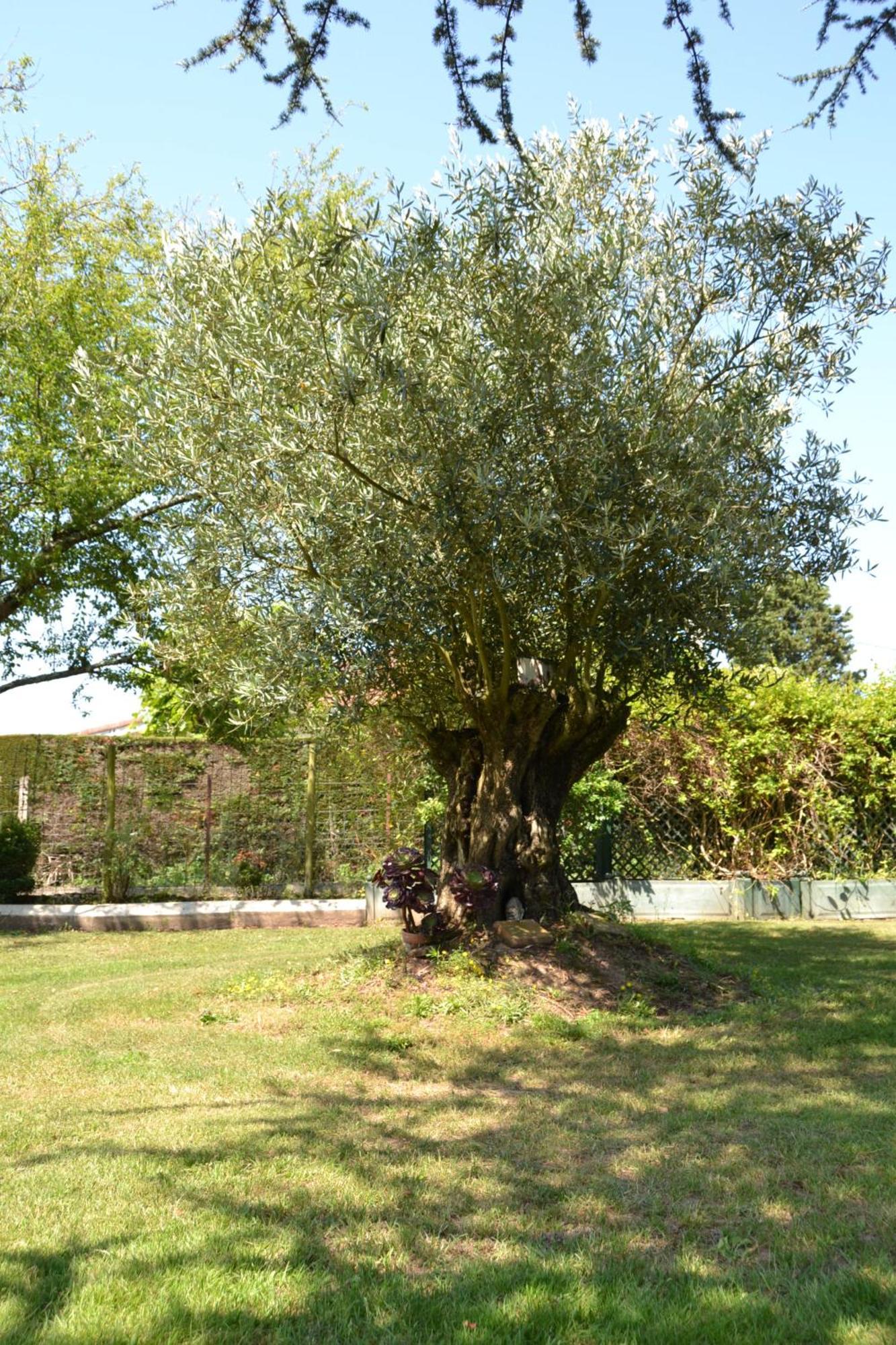 Le Gite De La Lombriere Saint-Denis-de-Pile Exterior foto